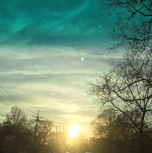 Meet your Posher, Angelina